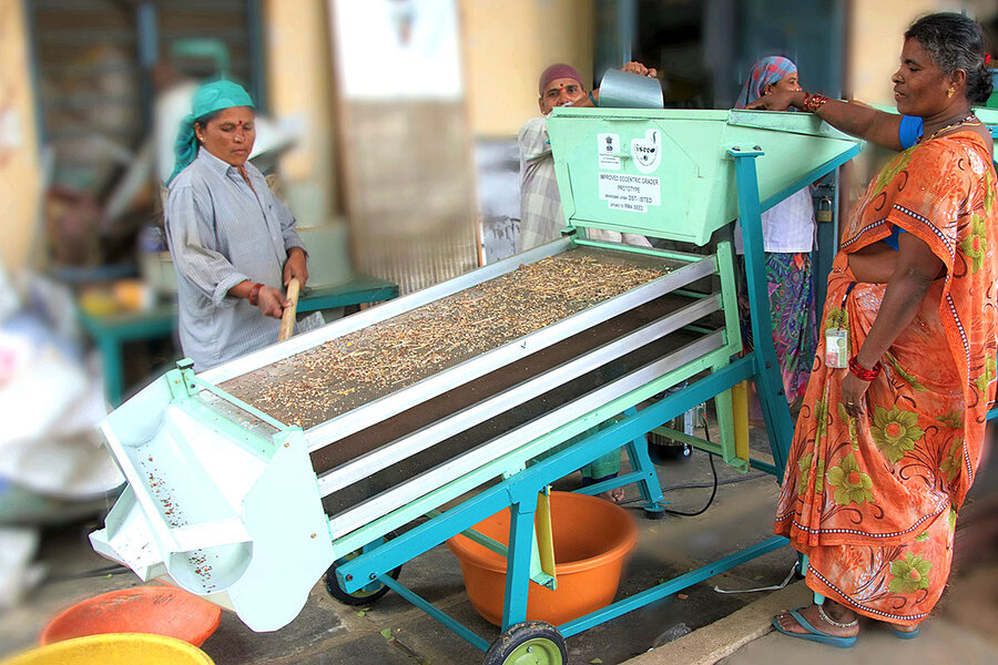 Millet farming sees revival in India